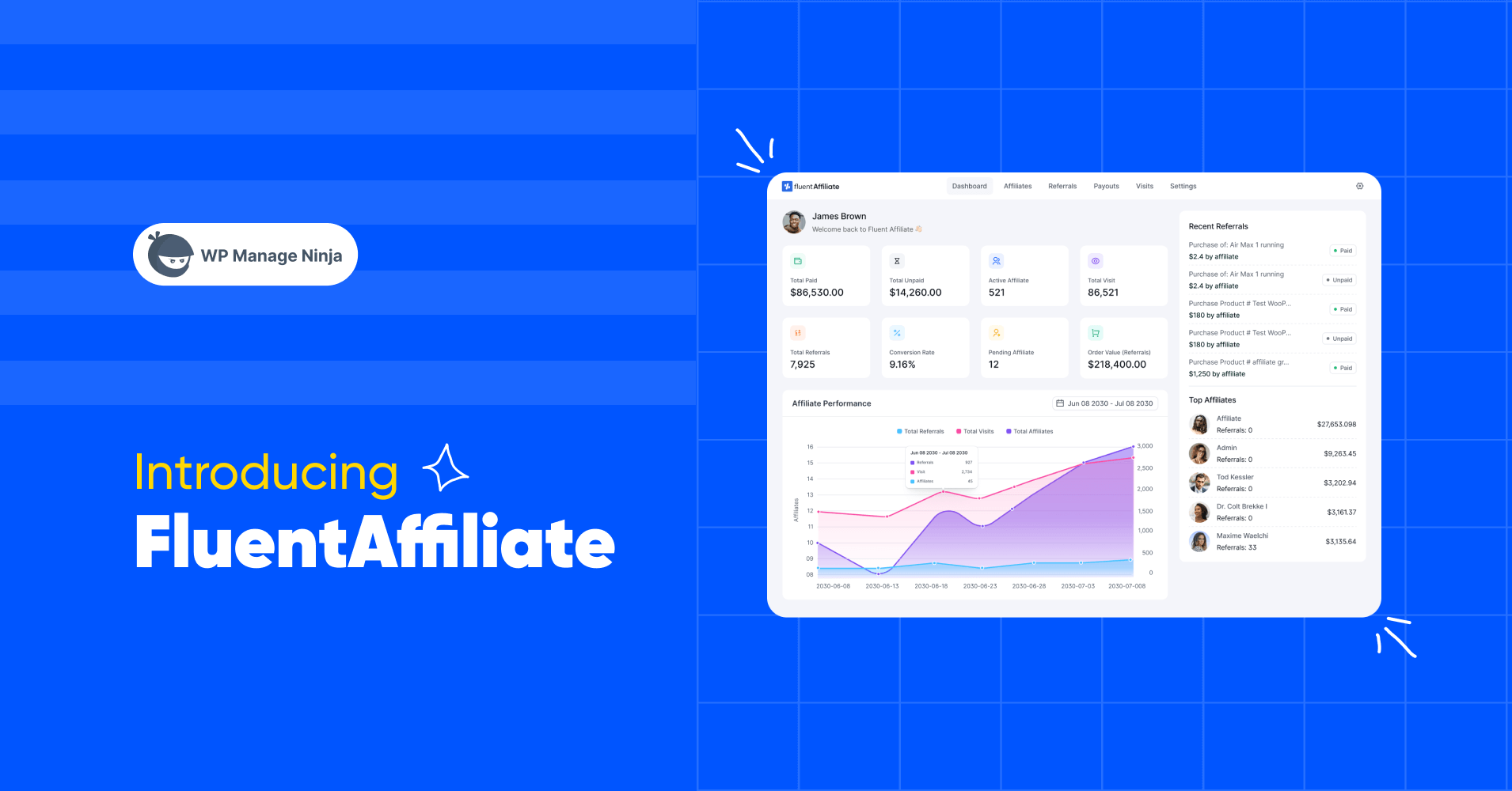 FluentAffiliate, WordPress affiliate plugin